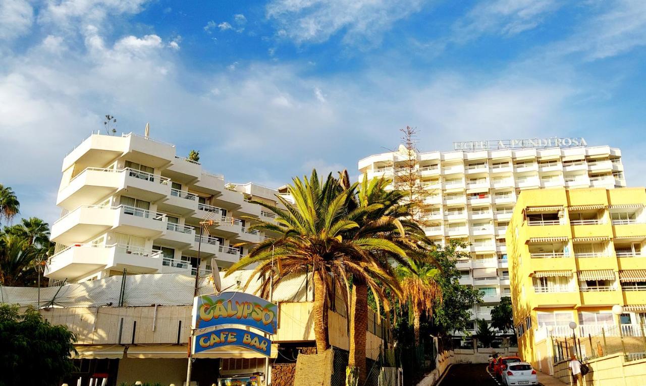 Under The Palm Apartamento Playa de las Americas  Exterior foto